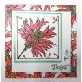 IndigoBlu A6 Red Rubber Stamp - Colour Me - Aster
